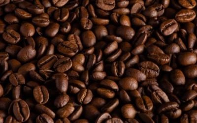 Explorando los diferentes tipos de café, una guía completa